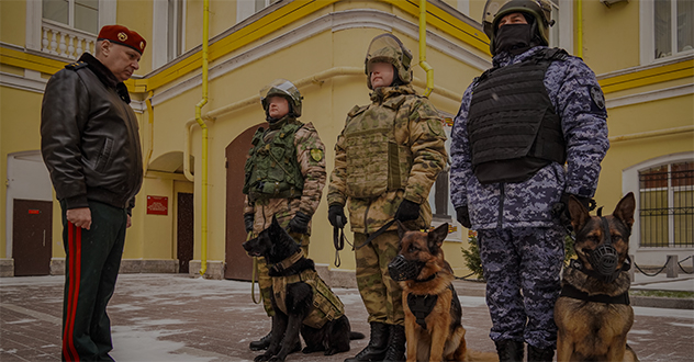 Генерал-лейтенант Алексей Воробьев рассказал о подвиге на СВО  служебных собак из Архангельска