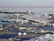 Ледоход на Северной Двине может подойти к Котласу уже сегодня