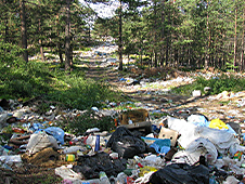 85 миллионов выделено на ликвидацию свалок в лесах в Архангельской области