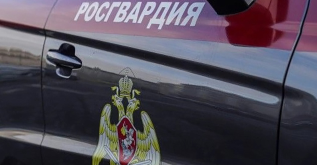 Сотрудники Росгвардии задержали двух ранее судимых архангелогородок, подозреваемых в краже алкоголя