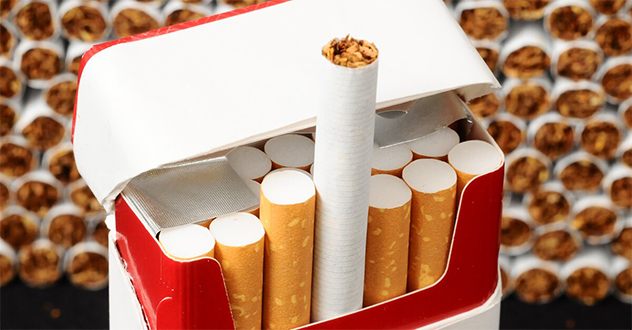 В Архангельске сотрудники РУФСБ России по Архангельской области пресекли незаконный оборот табачных изделий в особо крупном размере