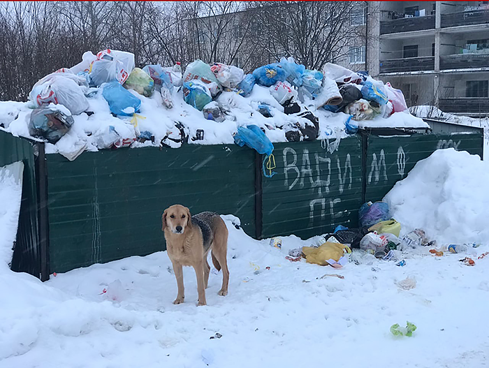 Произошла трагедия. Точка