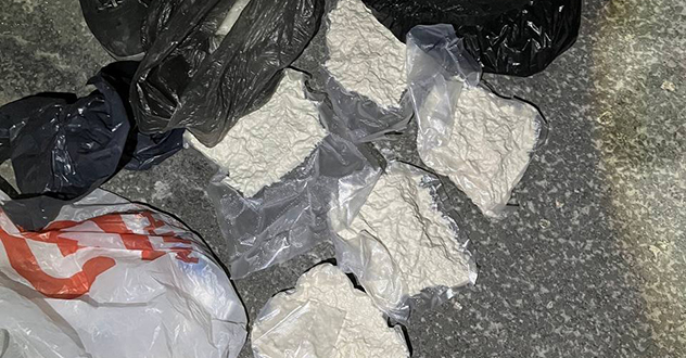 Житель г. Северодвинска осужден за покушение на незаконный сбыт наркотического средства в особо крупном размере