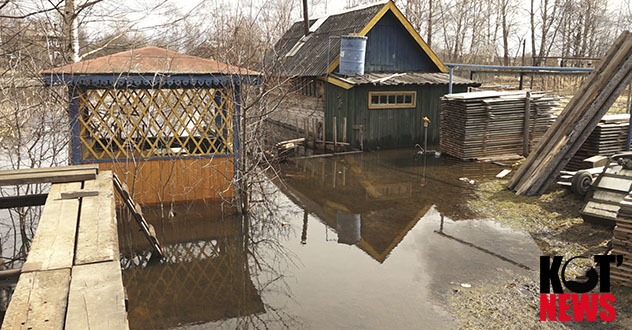 А на Шанхае вода прибывает