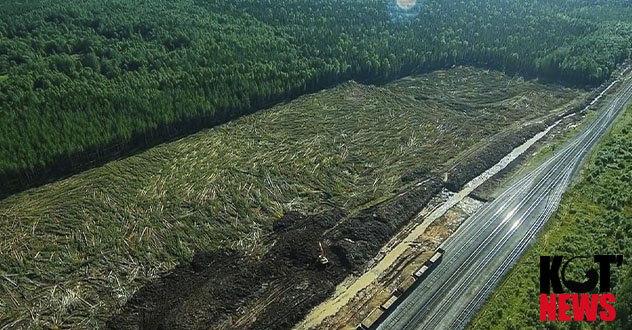 До победы на Шиесе ещё далеко